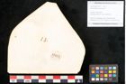 Foto (Objekt + Etikett) von Rhododendron ponticum (NHMW-GEO-2024-0188-11613)